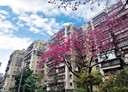 萬華區-國興路3房2廳，30.8坪