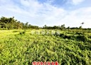 歸仁區-歸仁北段土地，440.4坪