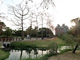 環境圖(7)