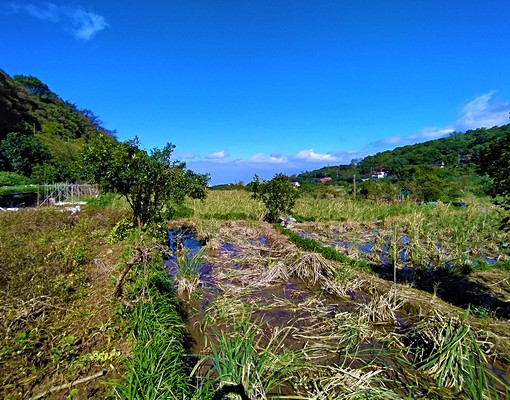物件圖片