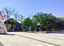 佳里區-土地，452.5坪