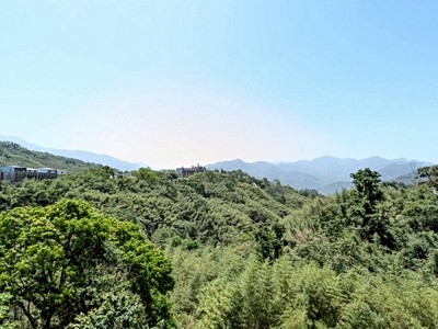 ⭐復興區正台7線大地坪透天店面⭐