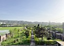 新埔鎮-義民路二段5房3廳，101.1坪