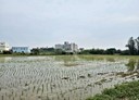 新屋區-土地，647坪