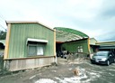 香山區-茄苳路土地，1002坪