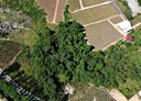 大樹區-土地，848.3坪