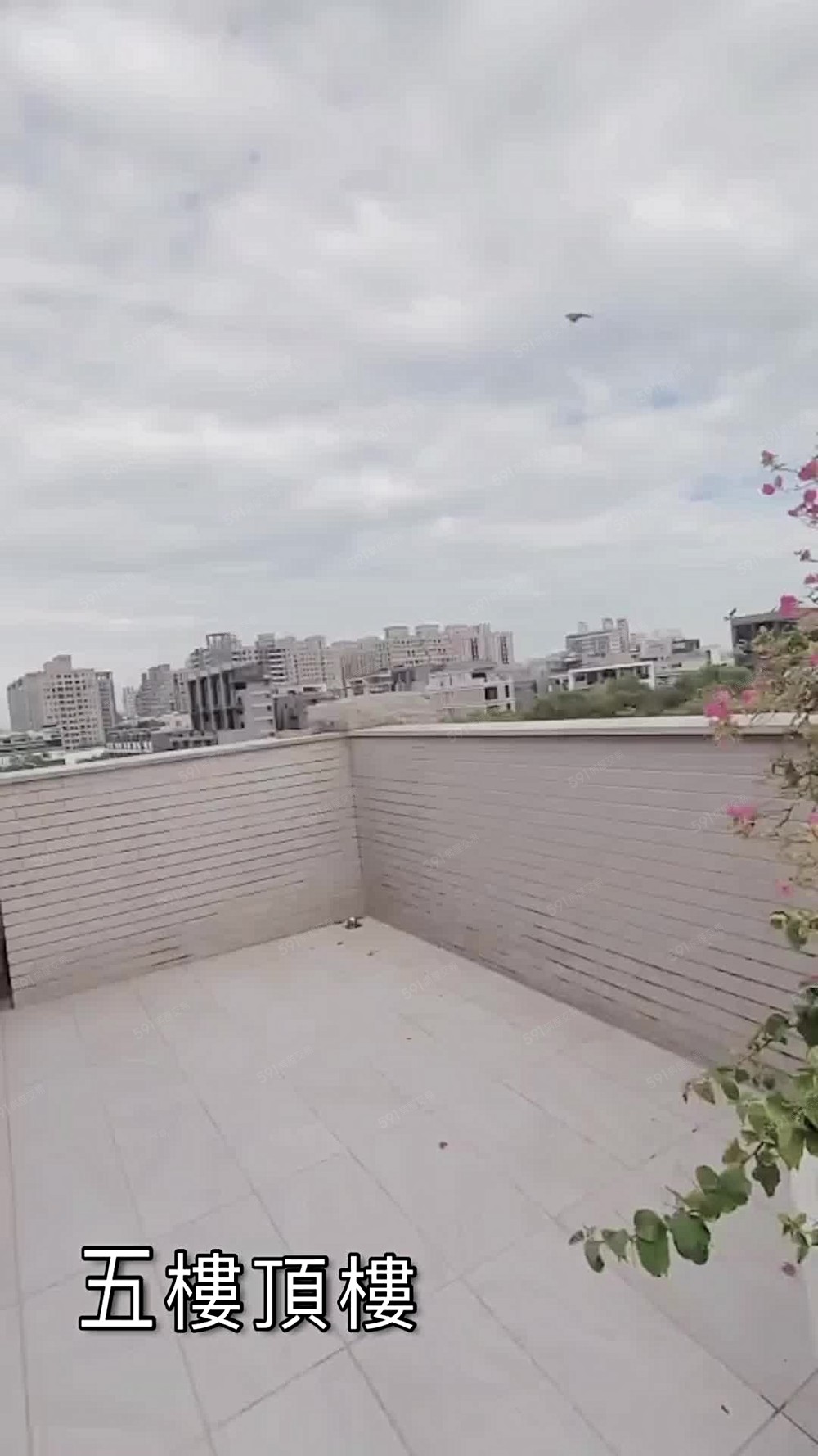 🏘️租金沒打錯🏘️你找不到第二間一樣的🐲另有影片+賴 - Image 1