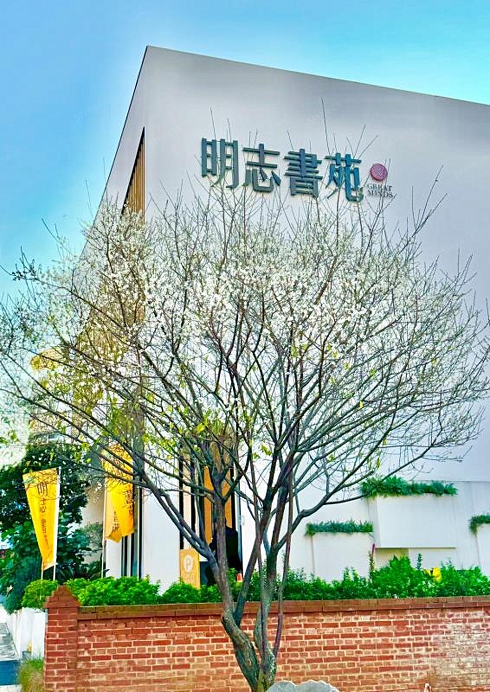 房屋圖片