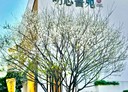 泰山區-明志路二段3房1廳，37.8坪