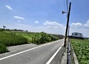 美濃區-成功段土地，410.9坪