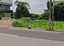 蘆竹區-富國路二段土地，731坪