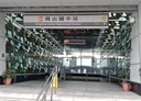 鳳山區-瑞興路店面，30坪