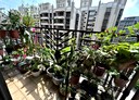 淡水區-新市一路三段2房2廳，40.9坪