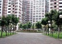 龜山區-光峰路0房0廳，41.5坪