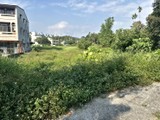 實景圖(3)