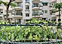 南屯區-大英街4房2廳，55.6坪