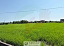 壯圍鄉-壯志段土地，94.1坪