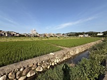 新鳳段芎林89公頃產業園區新..