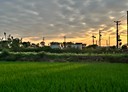 中壢區-民權路土地，730坪