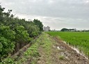 中壢區-民權路土地，730坪