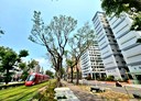 苓雅區-德安街3房2廳，28.4坪