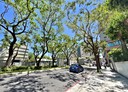 三民區-大順二路3房2廳，36.2坪