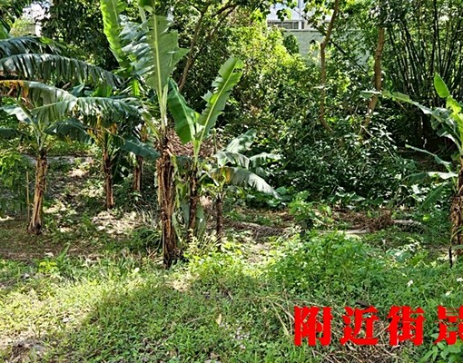 物件圖片