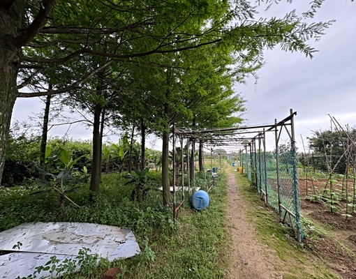 最優值829平坦美農地＋農舍資材室