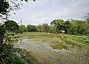 中壢區-忠福段土地，693.9坪