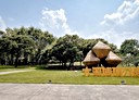 大溪區-仁善街3房2廳，30坪