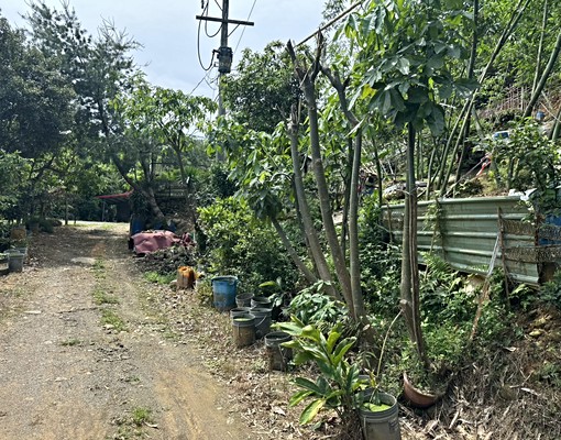 五股民義路一段低總價開心農場(近五股交流道)
