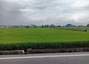 壯圍鄉-土地，871坪