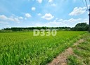 官田區-土地，3289坪