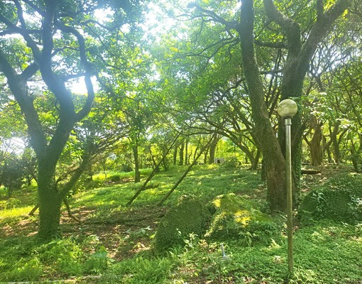 物件圖片