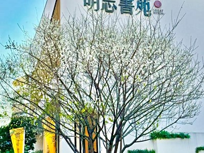 社區圖片