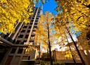 竹北市-嘉興二街3房2廳，66.4坪