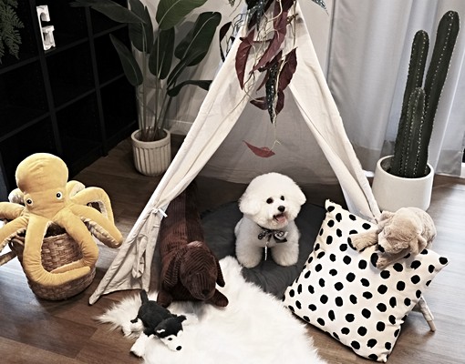 超稀有可寵電梯樓✨家具家電全配✨室內平車💯近多家商店機能強 - Image 12