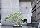 西屯區-市政路4房2廳，130.2坪
