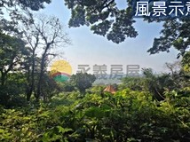 近天元宮有景觀天元段農地