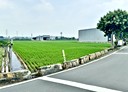 大寮區-磚子磘段土地，1039.3坪