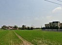 新屋區-清華段土地，751.7坪