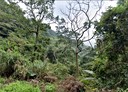 竹山鎮-土地，39940坪