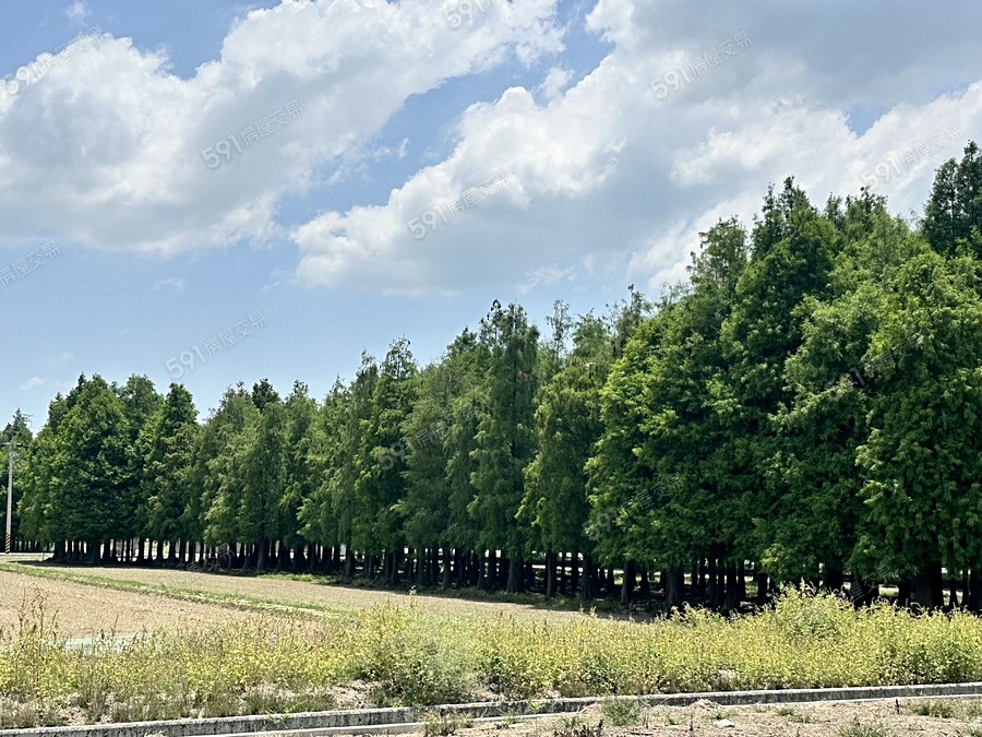 田園調布-透天環境圖