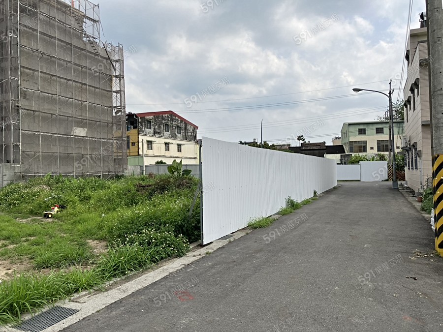 白鷺悠悠實景圖