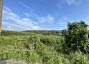 安定區-安定土地，287坪