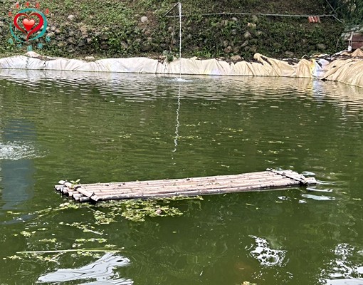 物件圖片