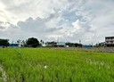 萬丹鄉-土地，765.6坪