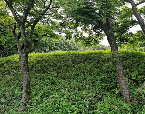 物件圖片