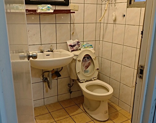 ✨楊梅埔心文化街,樓下即生活圈|台水台電帳單制|門口固定垃 - Image 5