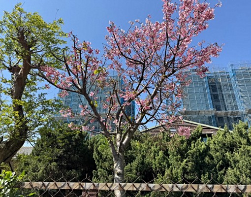 物件圖片